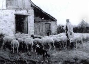 Landscape With Shepherd And Sheep by Gaylord Sangston Truesdell
