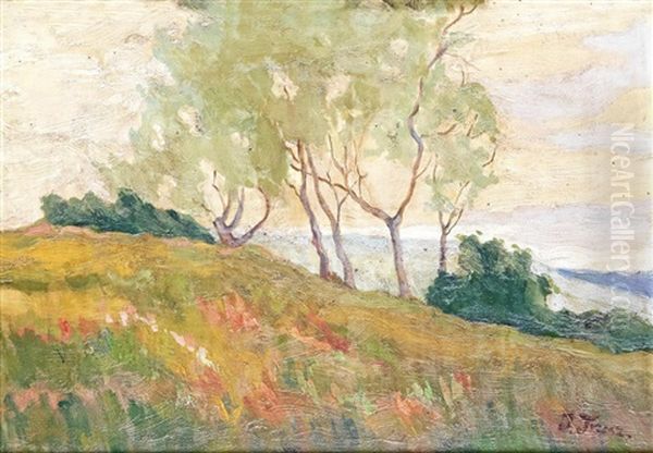 Summer Landscape - view 1