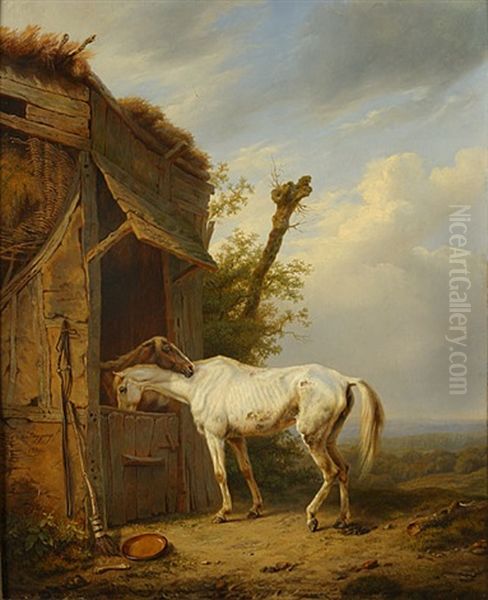 Twee Paarden - view 1