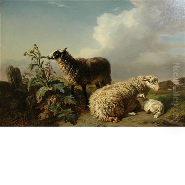 Sheep In A Landscape - view 1