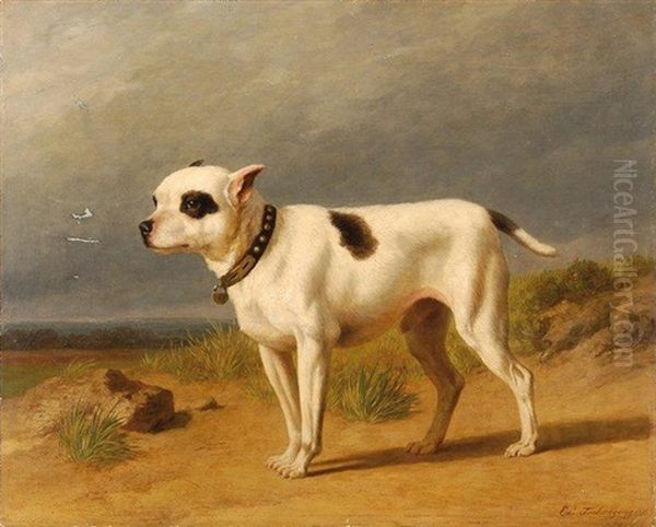 Chien Terrier - view 1