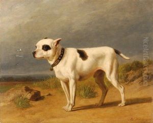 Chien Terrier