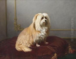 A Toy Dog Seated On A Red Cushion