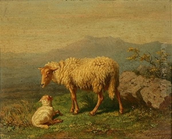 Mouton Et Brebis - view 1