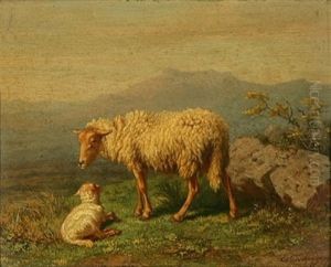 Mouton Et Brebis Mouton Et Brebis