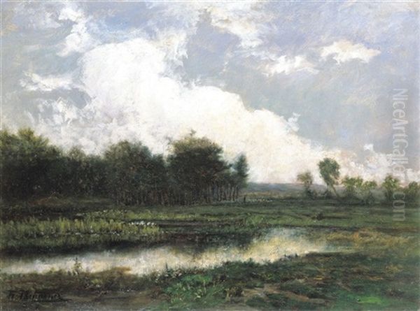 L'etang - view 1