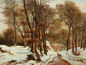 Skovparti Aastrup. Vinter