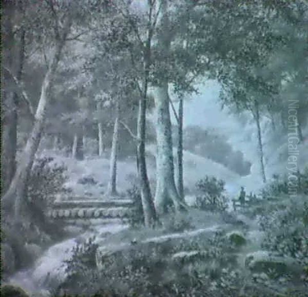 Waldlandschaft - view 1