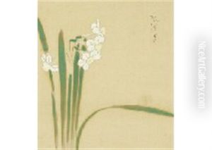 Daffodil by Bakusen Tsuchida