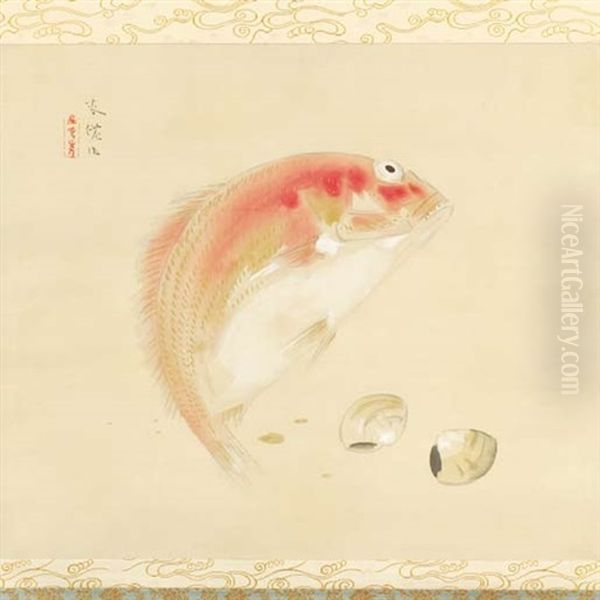 Bream And Clam - view 1