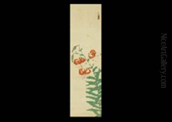Lily - view 1