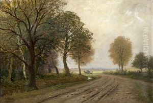 Thuringische Landschaft Mit Feldweg