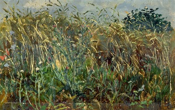 Feldrain Mit Mohnblumen Und Wilder Distel - view 1