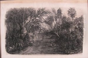 Le Cours D'eau