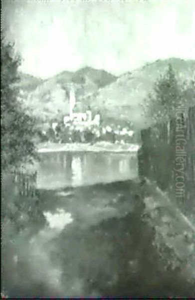 Weissenkirchen In Der Wachau. - view 1