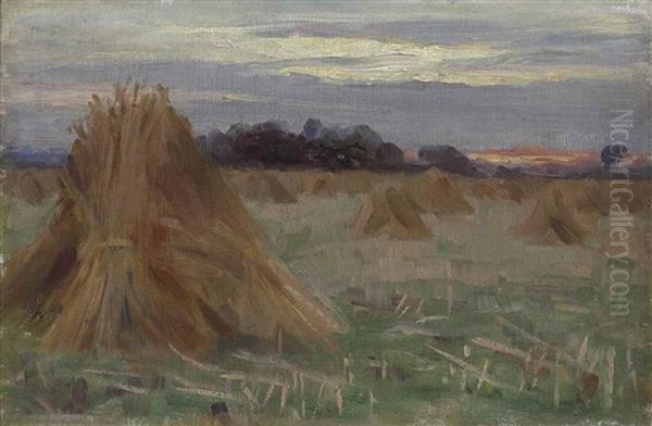A Sussex Cornfield - Evening - Near Chichester - view 1