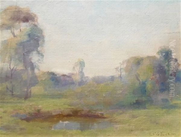 Landscape - view 1