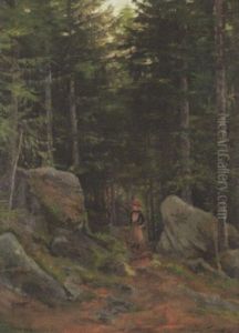 Waldlandschaft Mit Einer Frau Auf Felsigem Pfad
