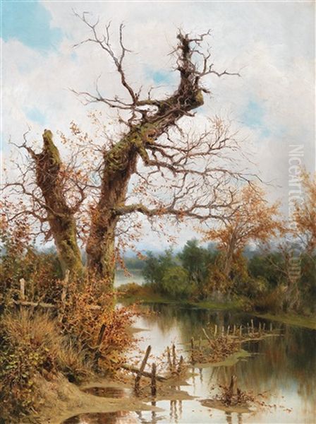 Old Tree By The Stream - view 1