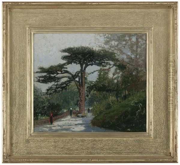Cedar Of Lebanon, Jardin Des Plantes, Paris - view 1