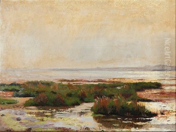 Sunshine At A Shallow Coast - view 1