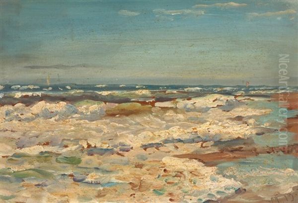 Scenery From Skagen - view 1
