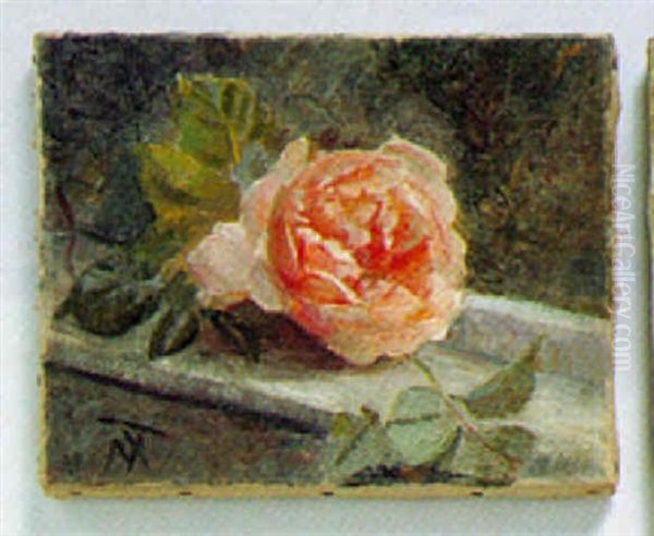 Lysrod Rose - view 1