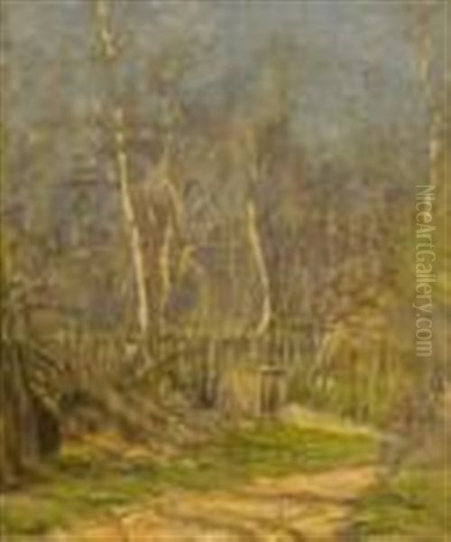 A Woodland Track In Spring - view 1