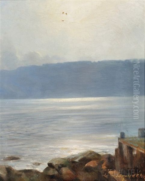River View With Silvery Light - view 1