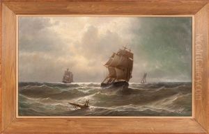 Searching For A Wreck by William Tyler