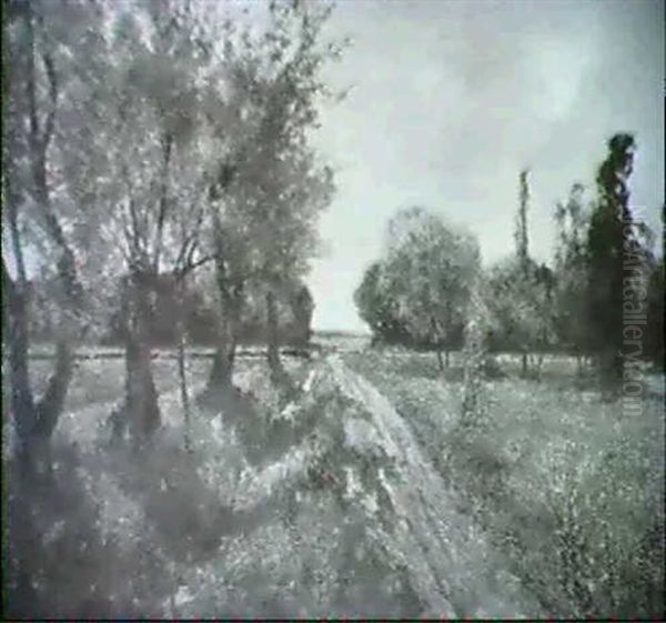 Sommermorgen - view 1