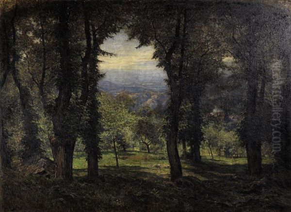 Sottobosco - view 1