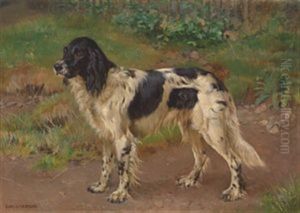 Engelsk Setter