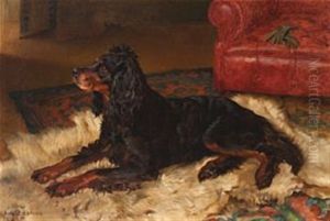 Gordonsetter Hviler Pa Isbjornskinn