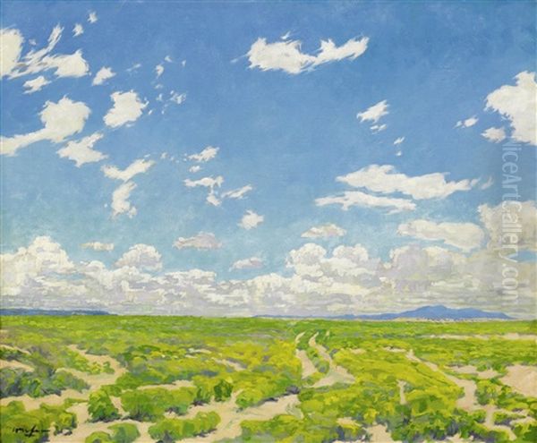 The American Desert - view 1