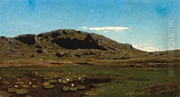 Heilandskap Med Vannliljer - view 1