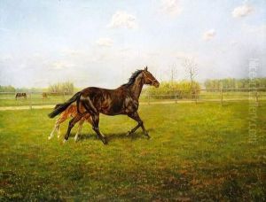Jument Et Son Poulain Dans Un Pre by F. Bressin