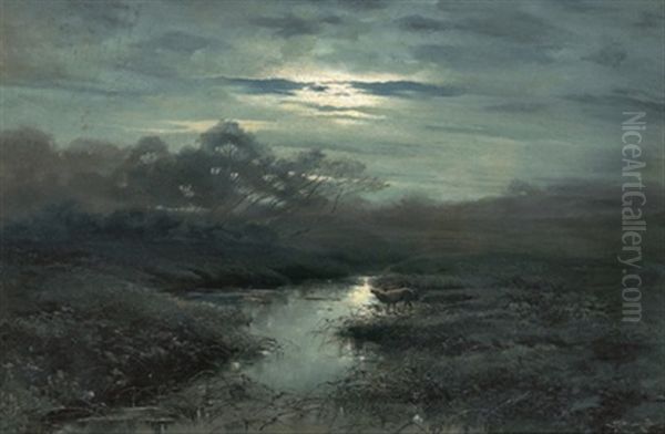 Rohrender Hirsch In Der Abenddammerung - view 1