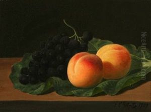 Still Life With Grapes And Peaches On Cabbage