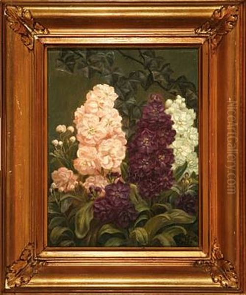 Pink, White And Purple Stocks - view 1