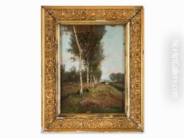 Birch Landscape - view 1