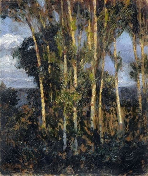 Waldrand - view 1