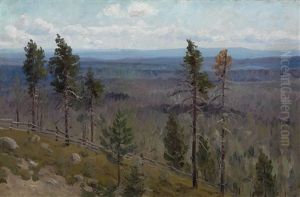 Hills And Woods