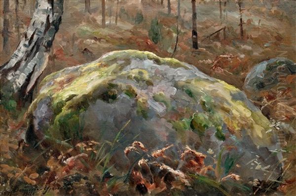 In The Forest - view 1