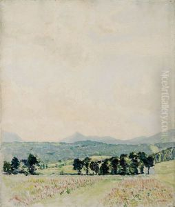 Sonnige Fruhlingslandschaft In Den Voralpen