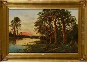 Coucher Du Soleil Sur L'etang