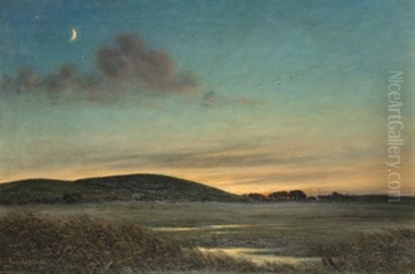 Paisaje - view 1
