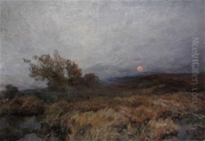 Dia Ventoso Al Atardecer Dia Ventoso Al Atardecer