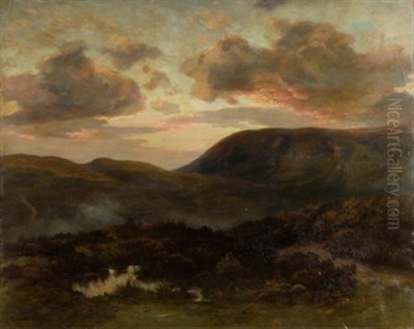 Paisaje Al Atardecer - view 1