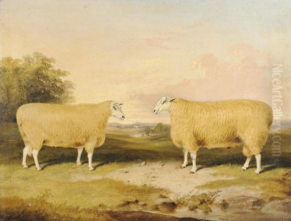 Two Prize Leicester Rams, Standing Beside Trees - view 1